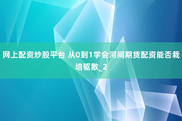 网上配资炒股平台 从0到1学会河间期货配资能否栽培驱散_2